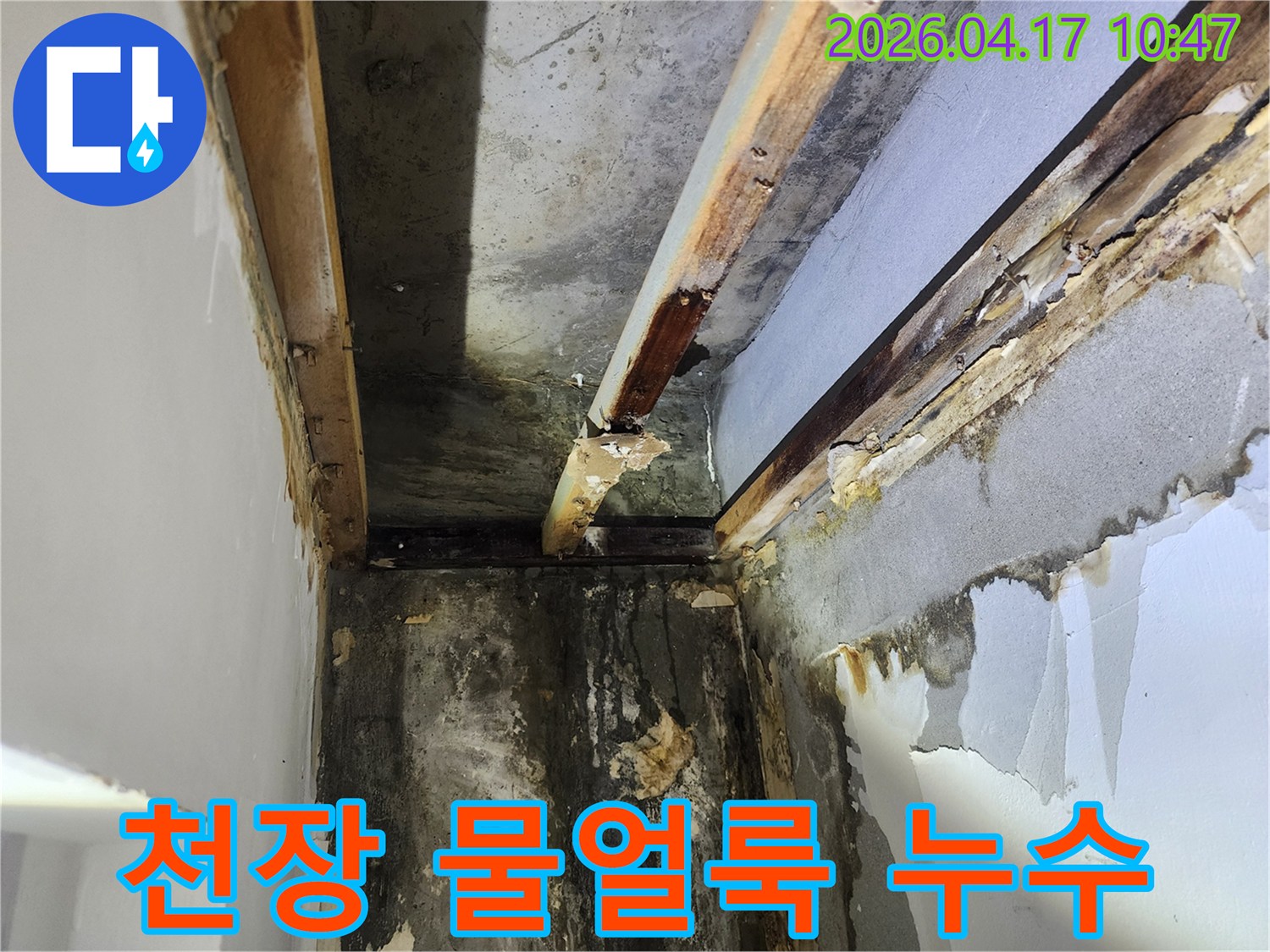 이 사진은-서울 서초구 잠원동에서 발생한-천장 누수로 인한-심각한 물얼룩과-목재 부식 상태를 보여줍니다