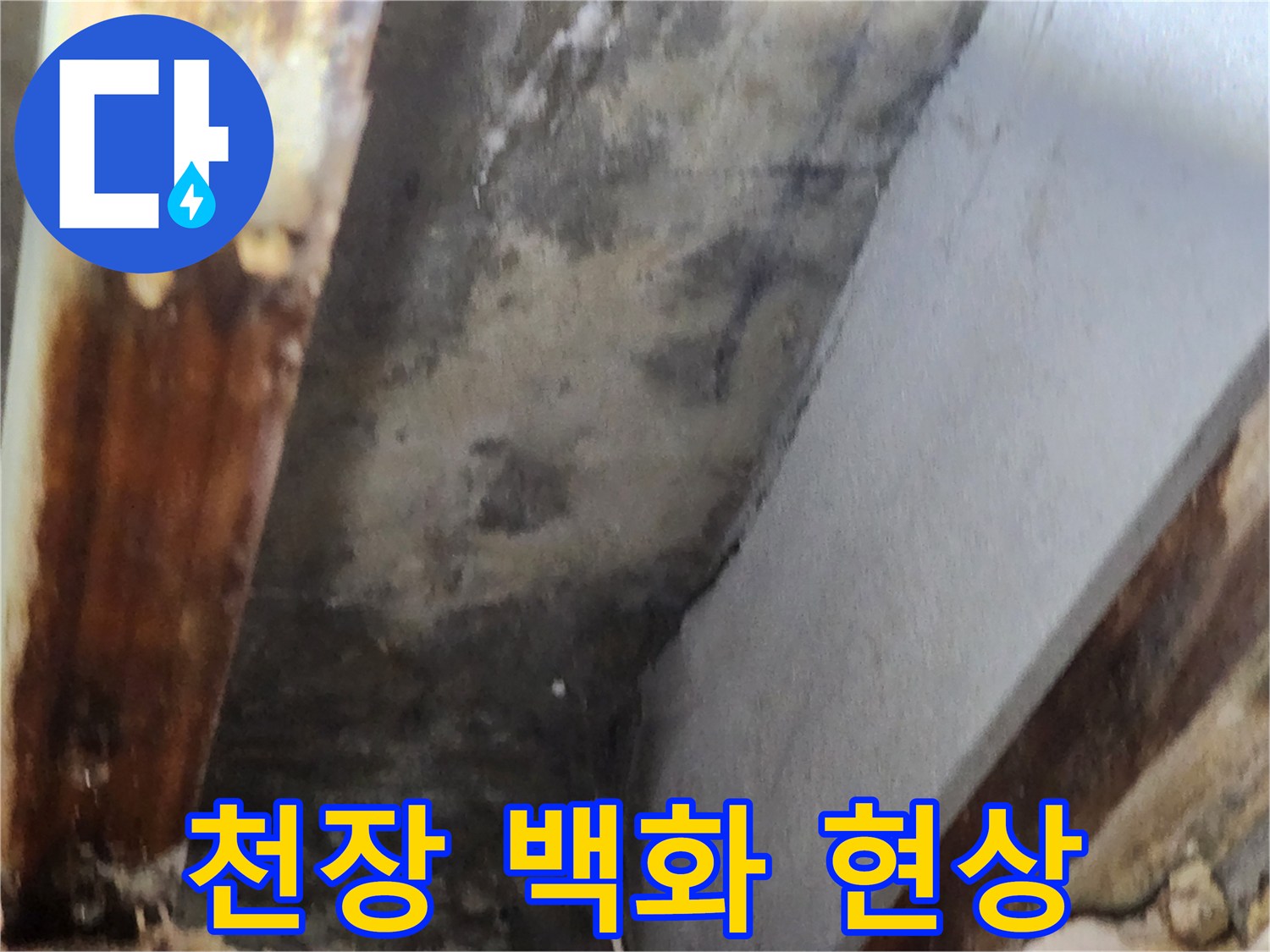 천장 모서리에 발생한 누수로 인한 백화 현상과-오염 상태를 보여주는 이미지입니다