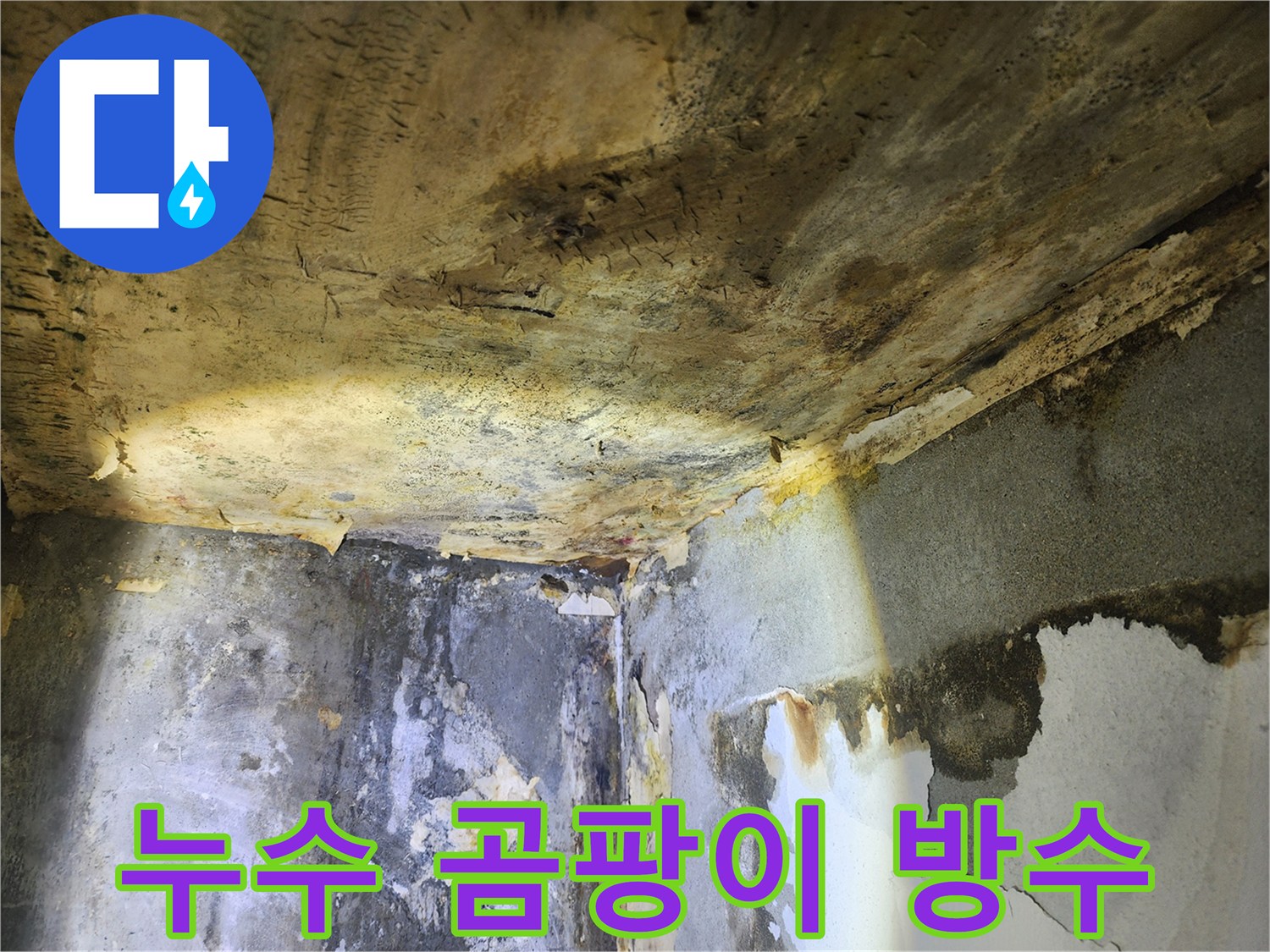 천장과 벽에 발생한-심각한 누수와 곰팡이로-벽지가 손상된 모습