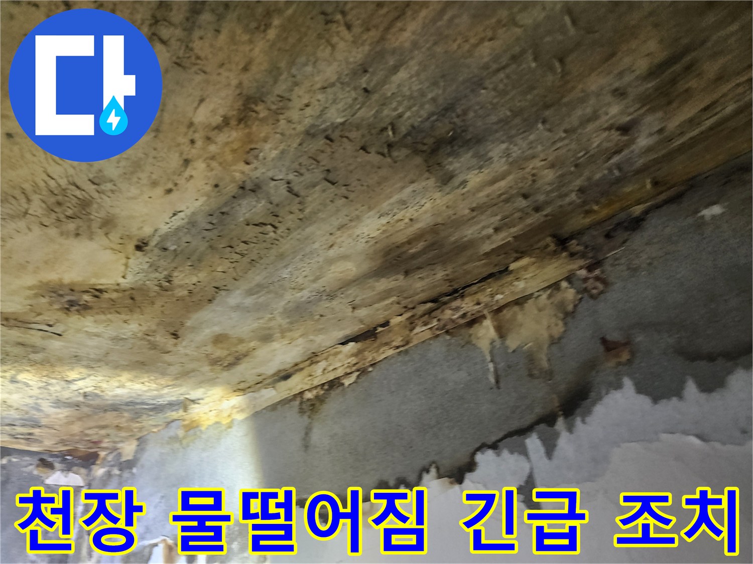 천장에서-물이-떨어지는-긴급한-누수-상황에-대해-신속하게-조치하는-모습