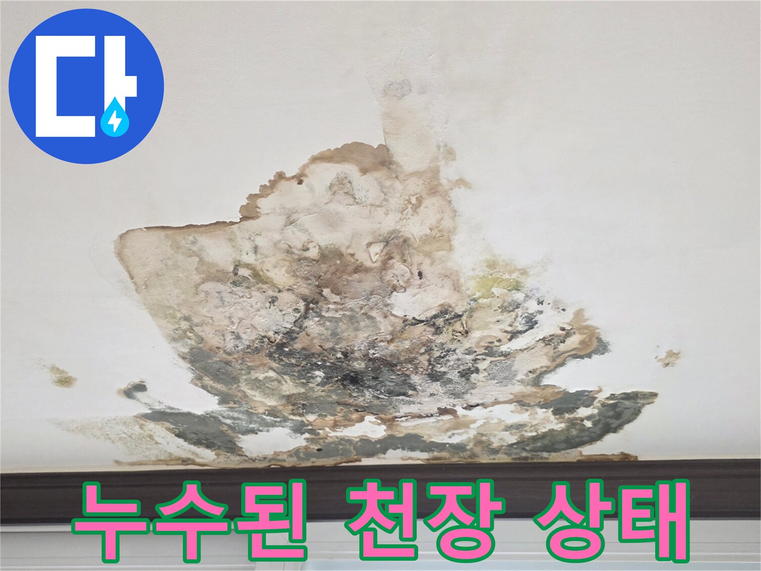 심하게 변색되고 습기를 머금은 천장 석고보드