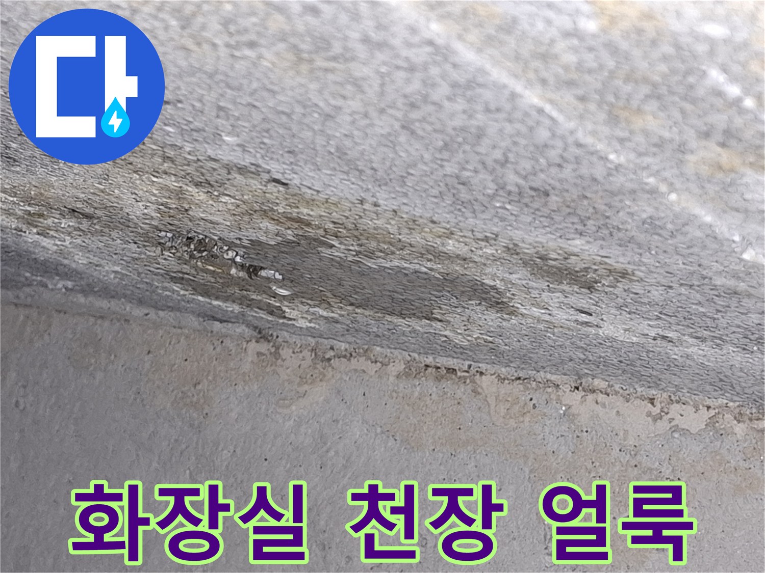 파주-아랫집-화장실-천장-슬래브-누수-흔적