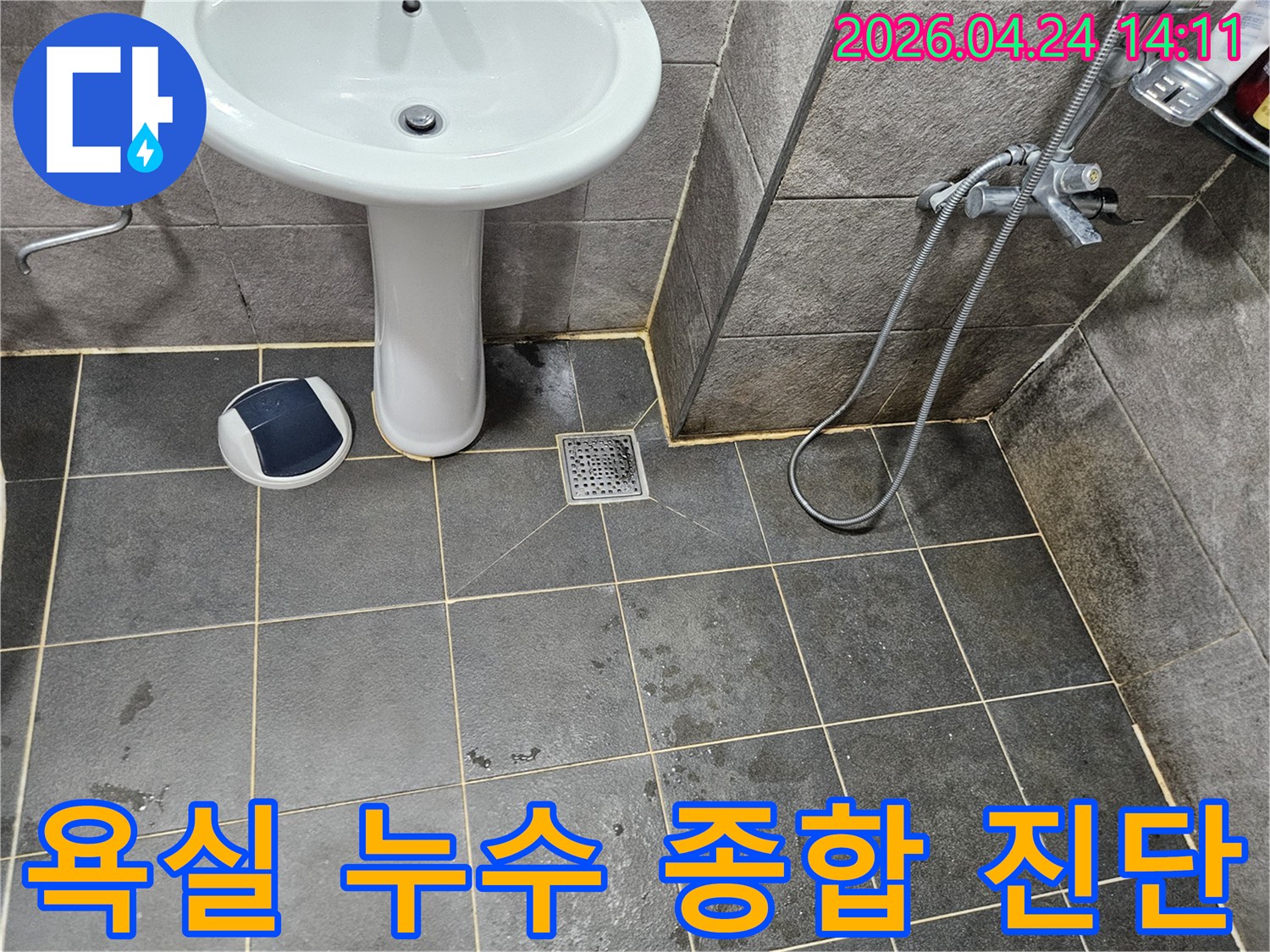 안양 청호아파트 욕실 바닥의-세면대-배수구-타일 줄눈 등-전반적인 상태를 종합적으로 육안 진단하는 전문가의 모습