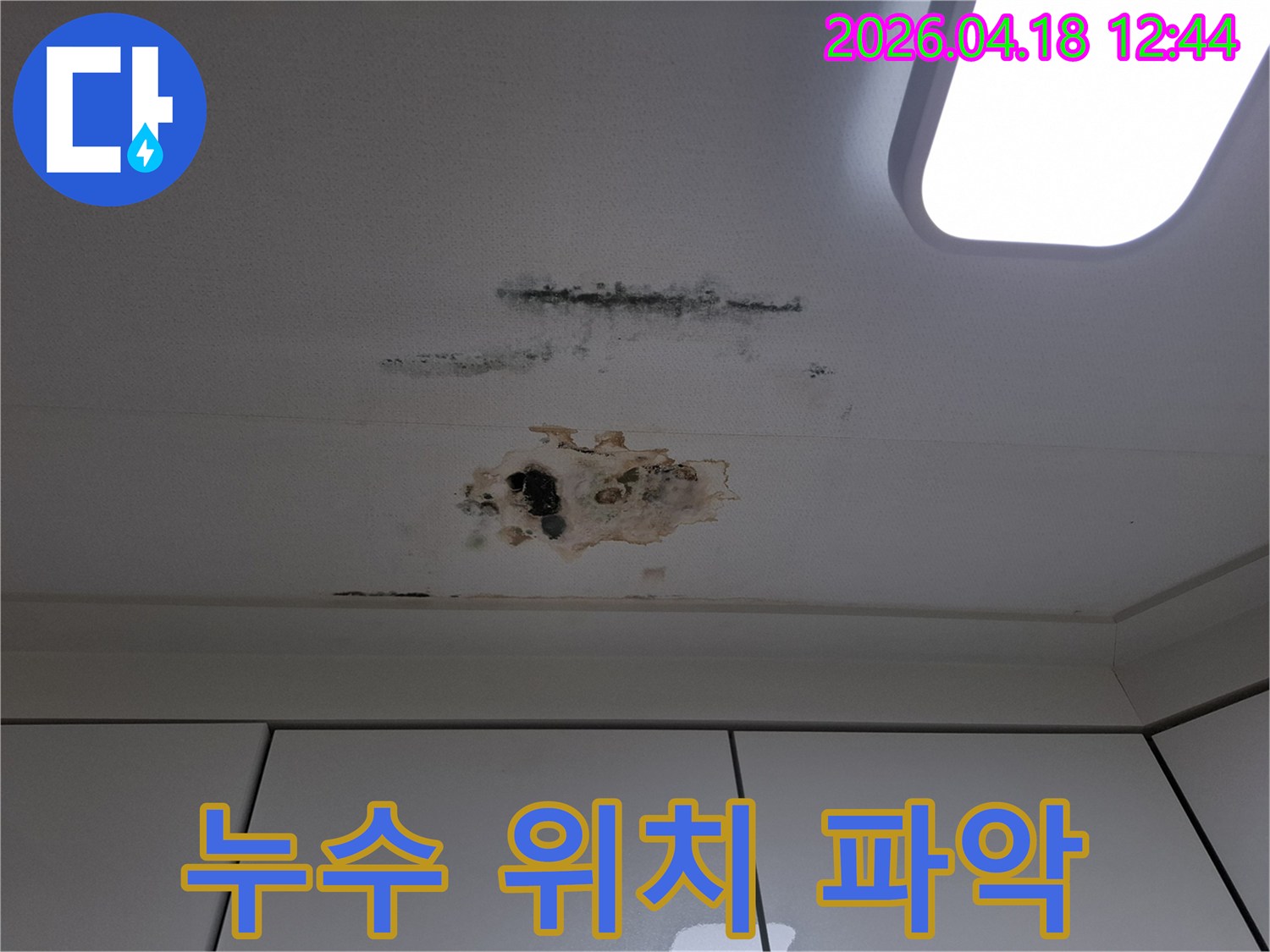 누수로-인해-천장-마감재가-손상되고-곰팡이가-번식한-아파트-천장-부분-정확한-위치-파악-필요