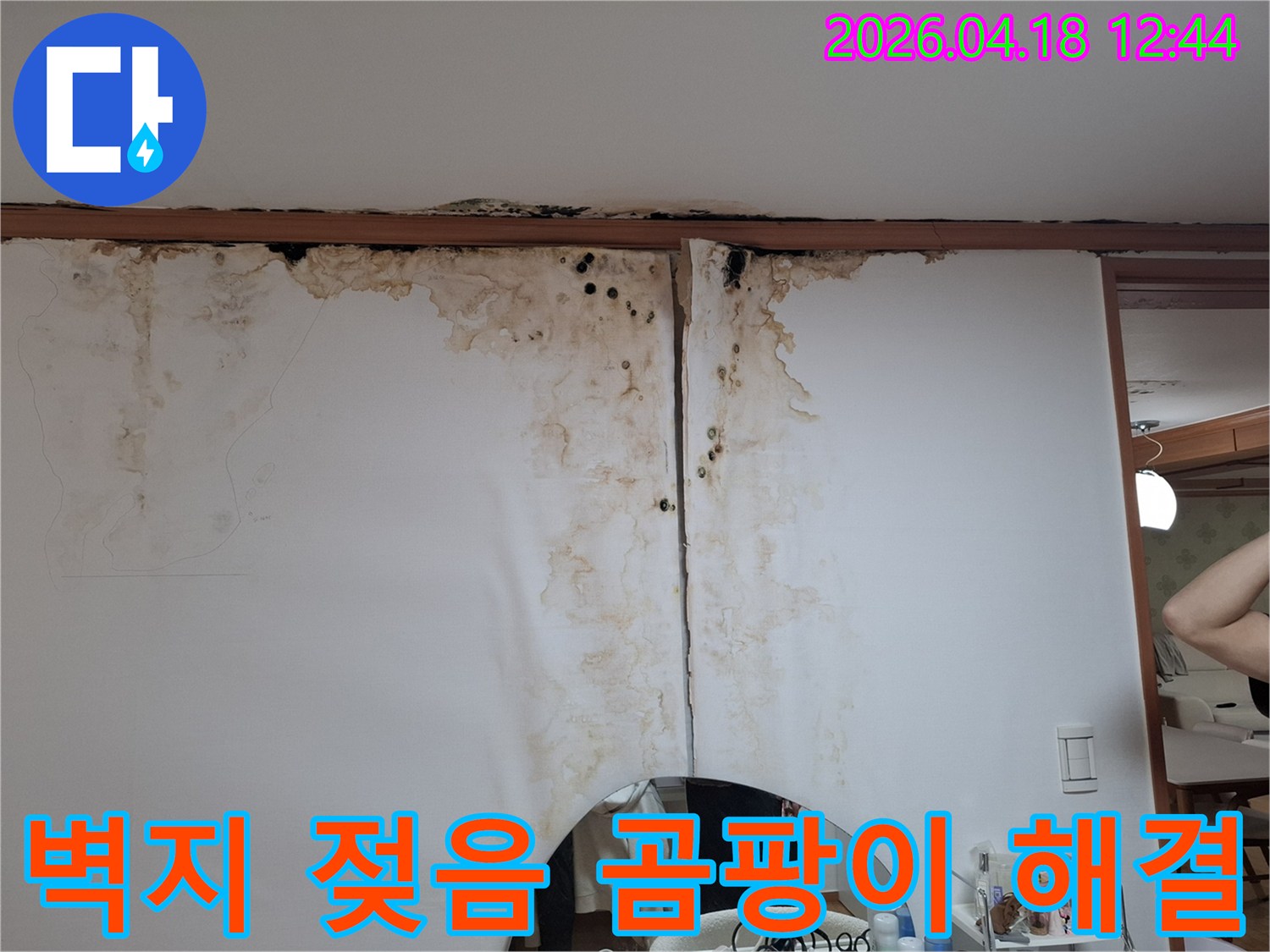 천장-누수로-인해-벽지가-젖고-곰팡이가-번진-심각한-피해-상황을-보여주는-사진입니다.
