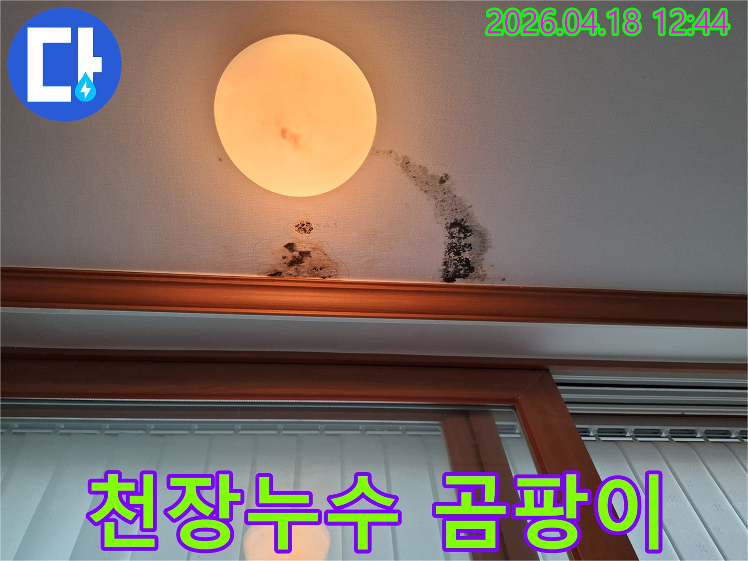 천장-조명-주변-누수로-인한-곰팡이-발생-현장-사진