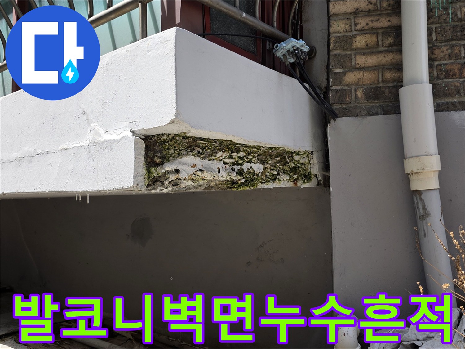 콘크리트-틈새-사이로-보이는-습기-및-물샘-징후