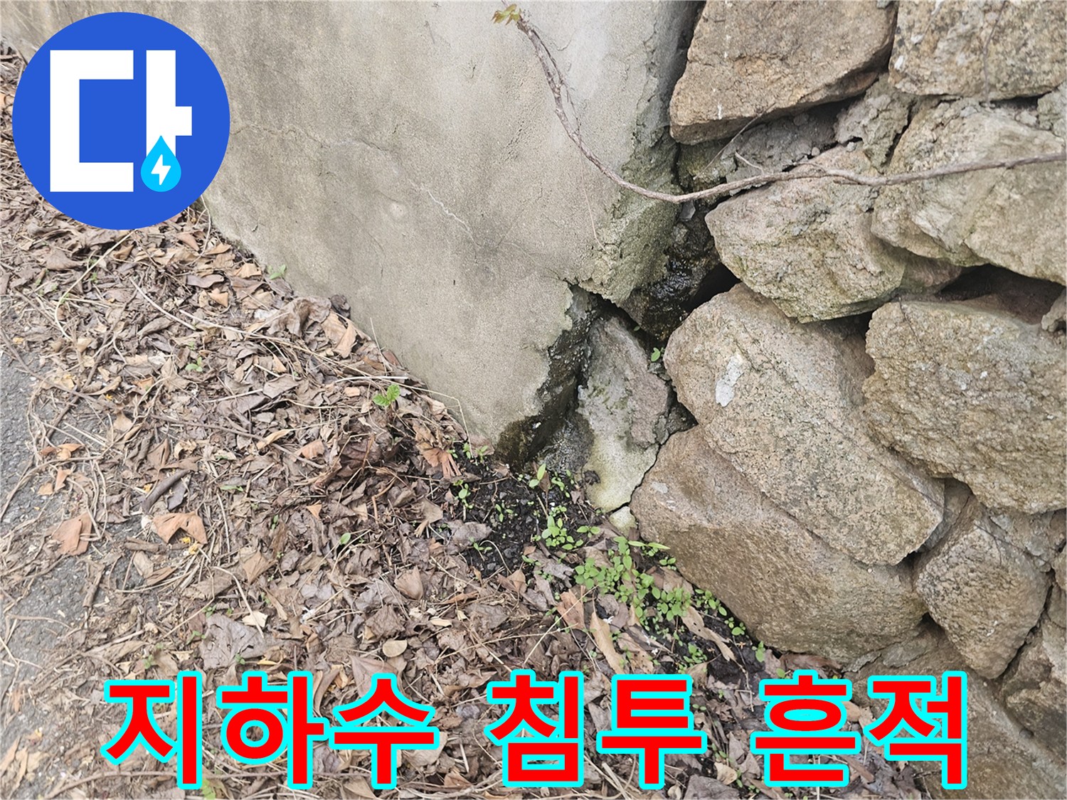 콘크리트 벽면과-돌담 사이의-틈새에서-지하수가-침투하는-누수 현장을-보여줍니다