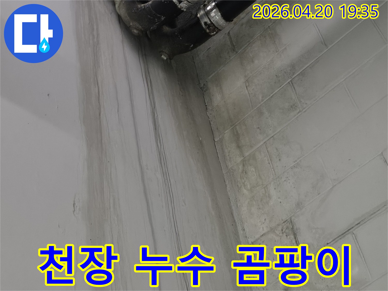 월계동 그랑빌아파트 천장에-발생한 누수로 인한-물자국과-곰팡이 발생 가능성을-확인하는 모습