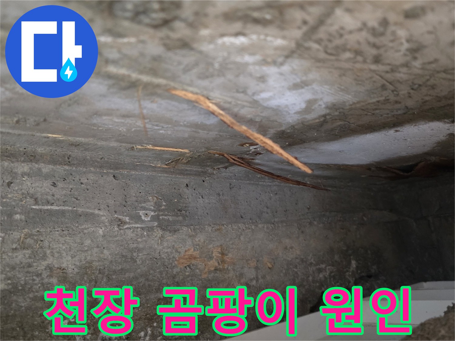 물기로 인해-발생한-천장 콘크리트의-곰팡이와-젖은 이물질의-누수 현장