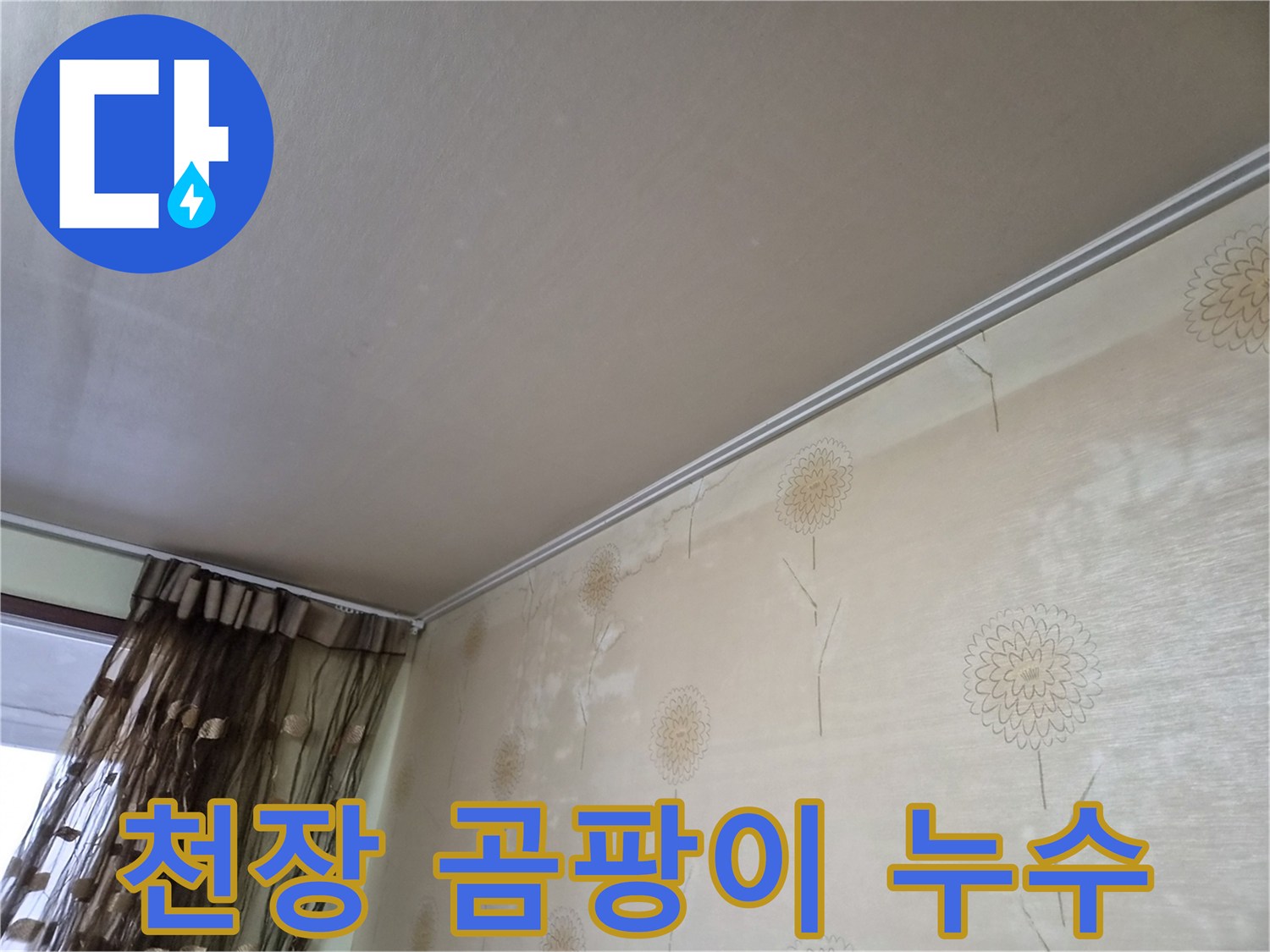 천장-모서리-부분에-누수로-인해-곰팡이가-광범위하게-번식한-모습을-보여주는-사진