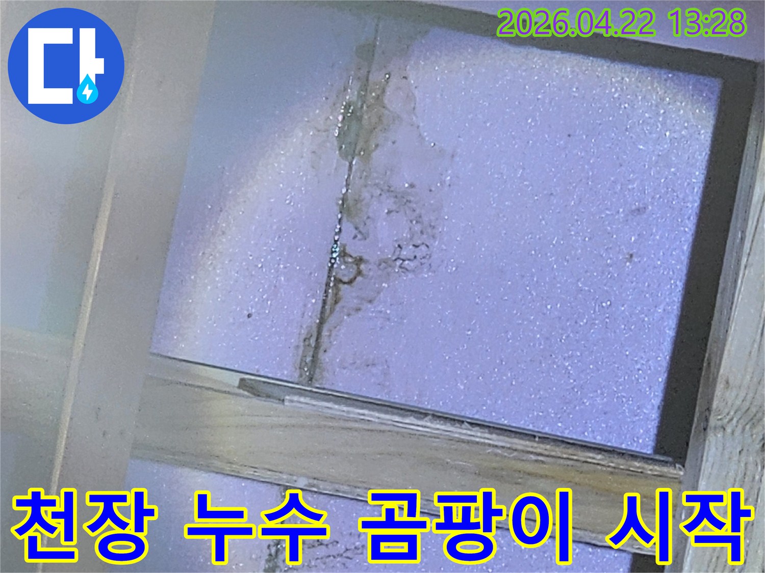 천장-단열재에-물이-스며들어-곰팡이가-시작된-모습을-보여주는-사진