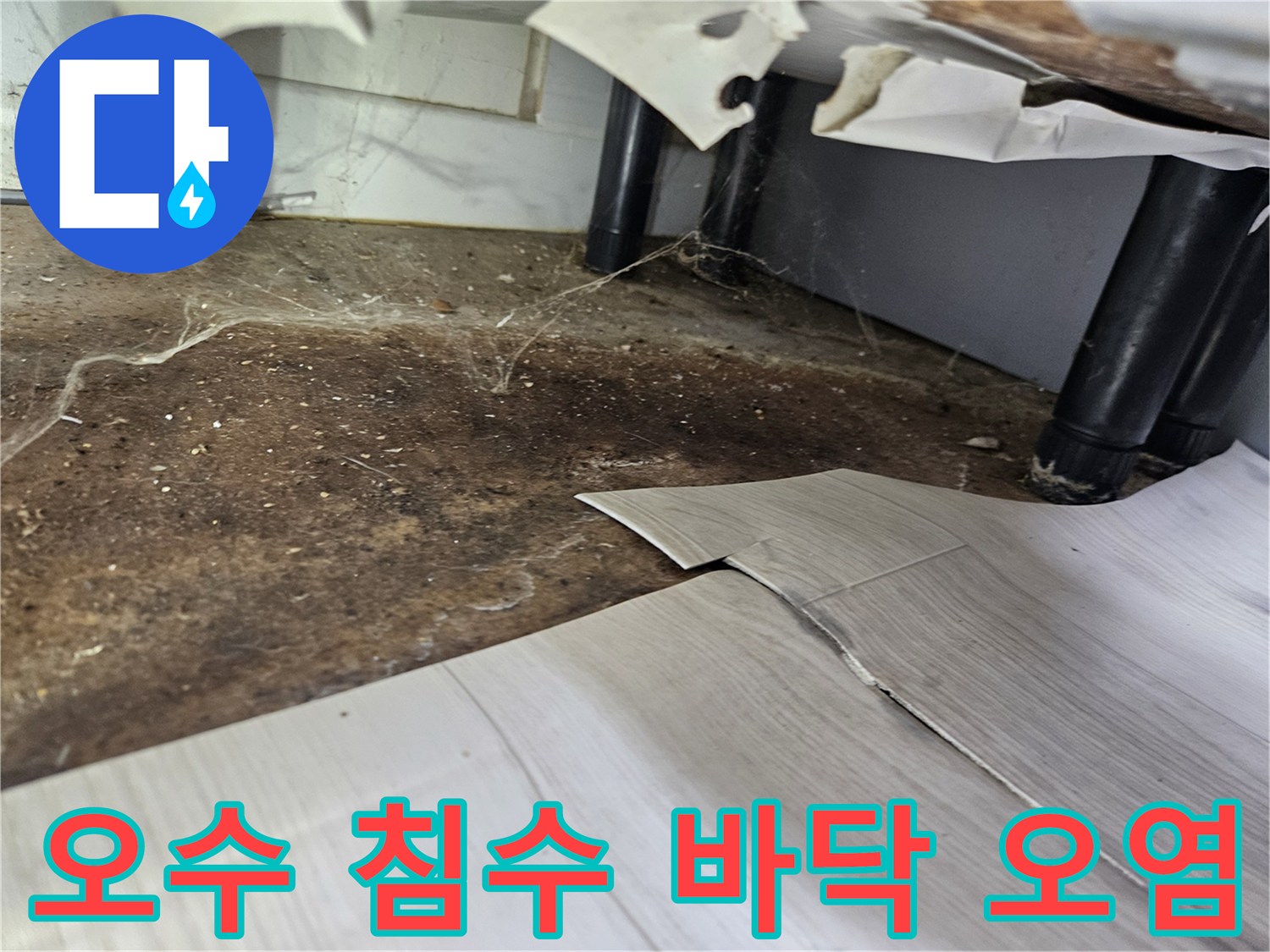 오수-침수로-인해-바닥이-심하게-오염되고-장판이-들뜬-우성아파트-내부-모습