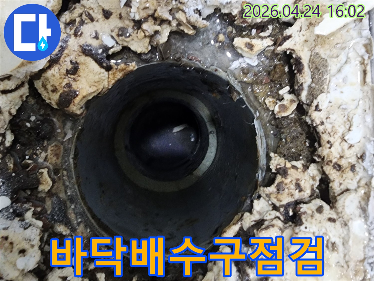 누수 전문가가 유가를 제거하고-배수관 상태를 점검하는 과정