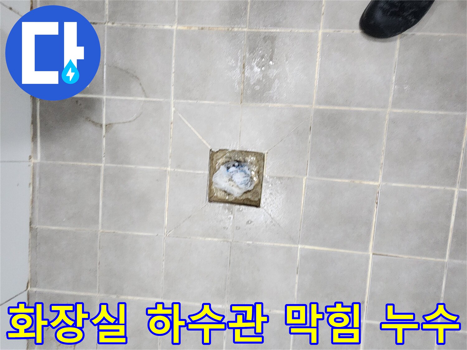 서대문구-화장실-배수구-하수관-막힘으로-인한-누수-현장을-점검하는-사진
