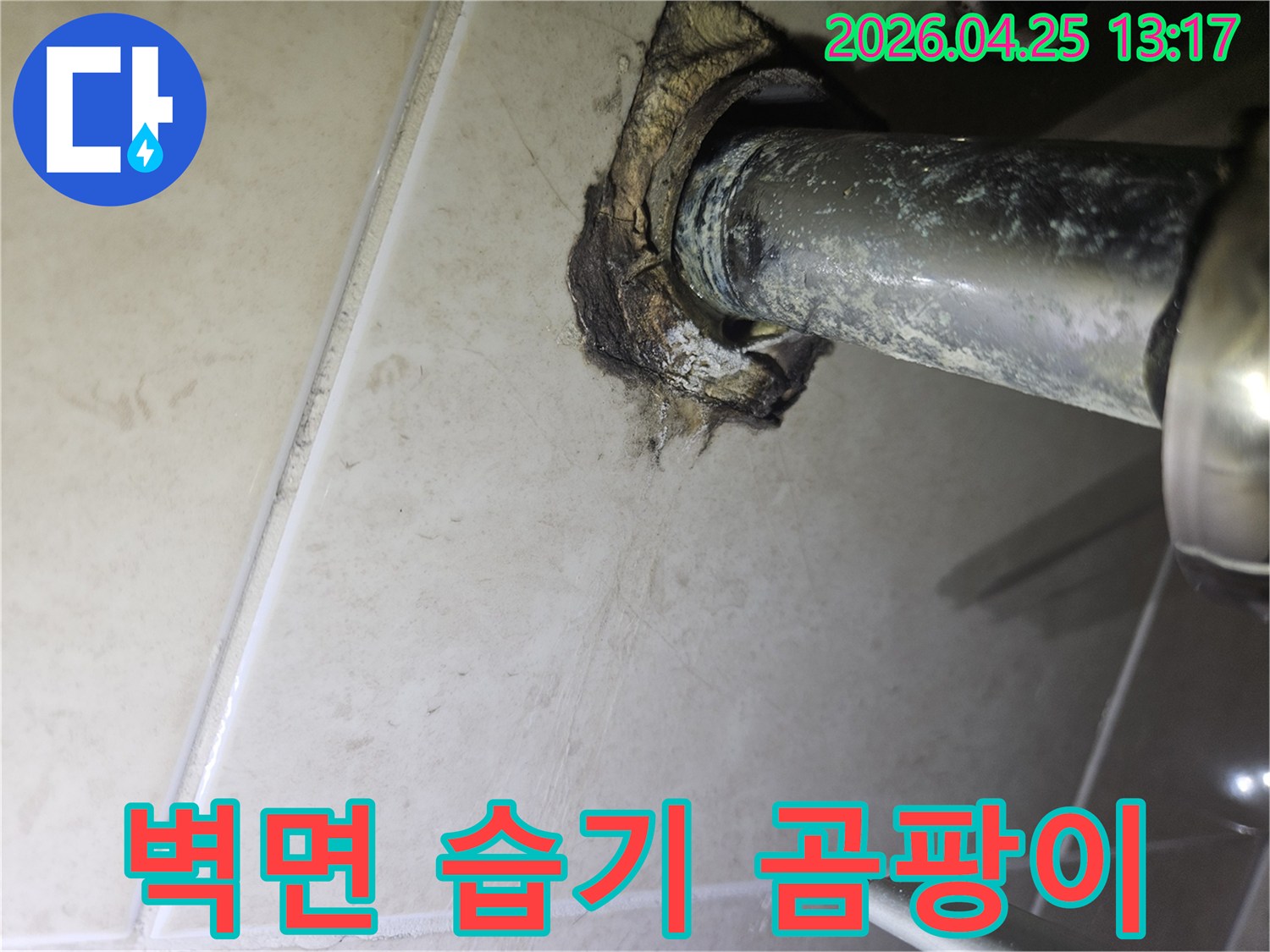 광명 하안동 아파트 욕실에서-배관 주변의 누수로 인해 발생한-벽면 내부 습기와 곰팡이 흔적을 보여주는 사진