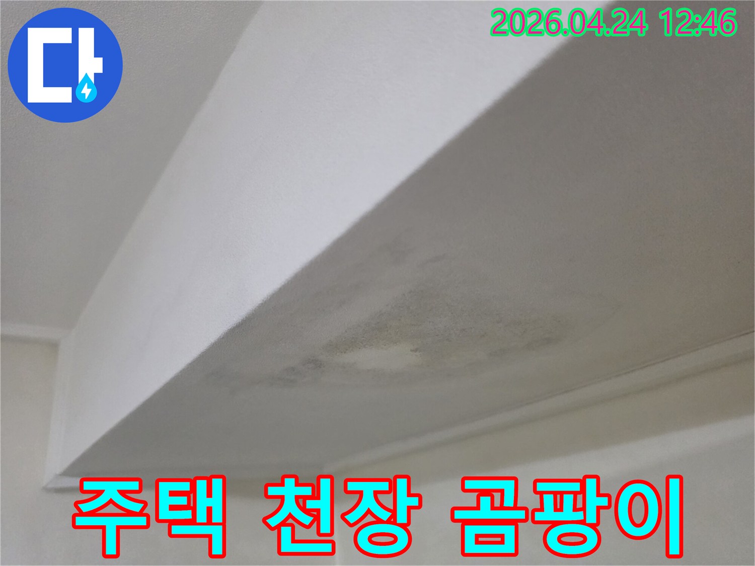 주택 천장에 생긴 곰팡이와 물자국-누수 전문가가 현장을 방문하여 원인을 분석하는 사진