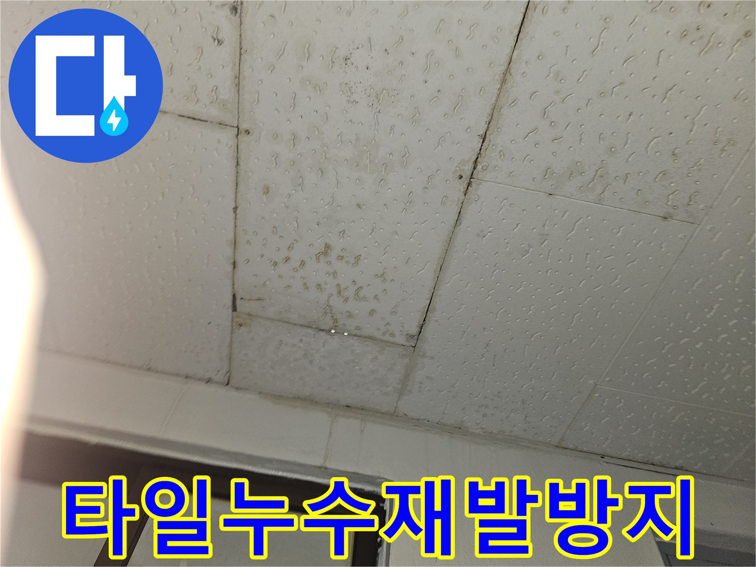 물에 젖은-타일 바닥의-누수 문제를-재발 없이-완벽하게 해결하기 위한-공사 준비 현장입니다.