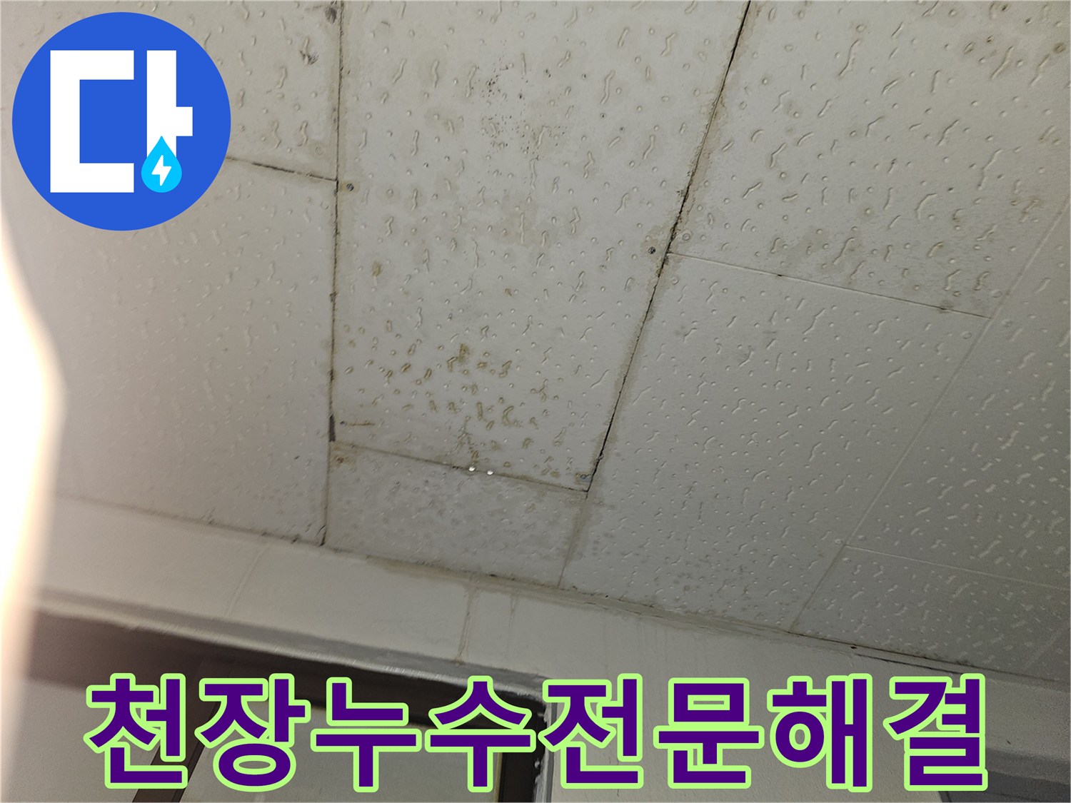 천장에서 물이 새는-누수 현장을-전문적으로 해결하기 위해-현장을 점검하는 모습입니다.