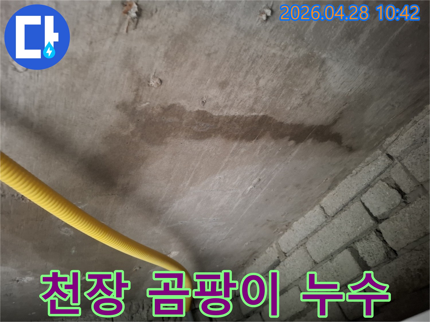 성남 분당 지역의 아랫집 화장실 천장에-물이-새어-얼룩지고-곰팡이-발생-위험이-있는-모습