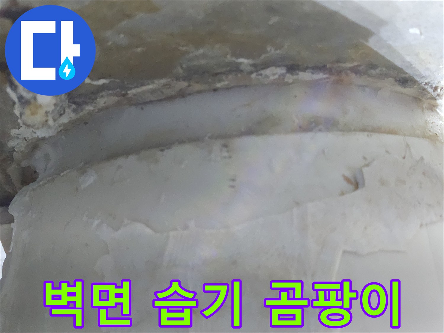 벽면에 습기와 곰팡이가 함께 발생한-누수 피해 현장 사진입니다