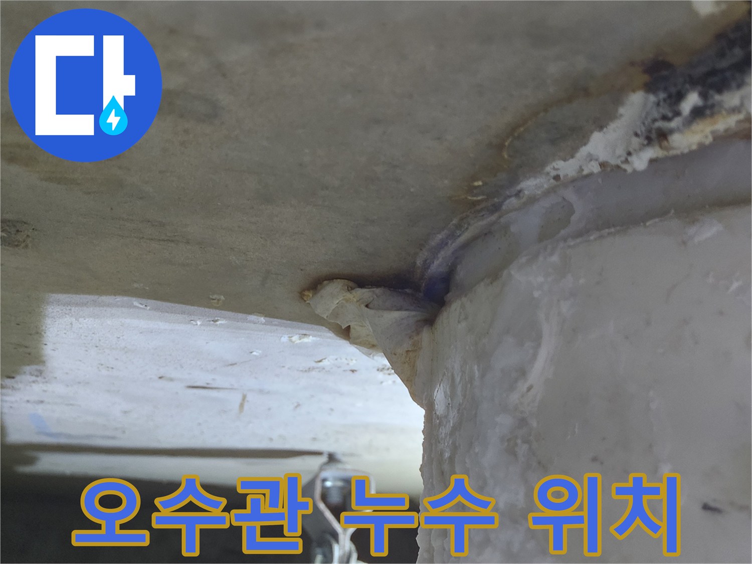 오수관에서-물이 새어 나와-천장으로-흐르는-누수 현장-정확한 위치