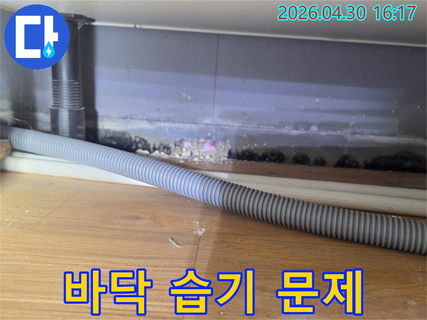 싱크대 하부 바닥에 지속적으로 습기가 차면서-물샘 흔적과 곰팡이가 발생한 현장 사진