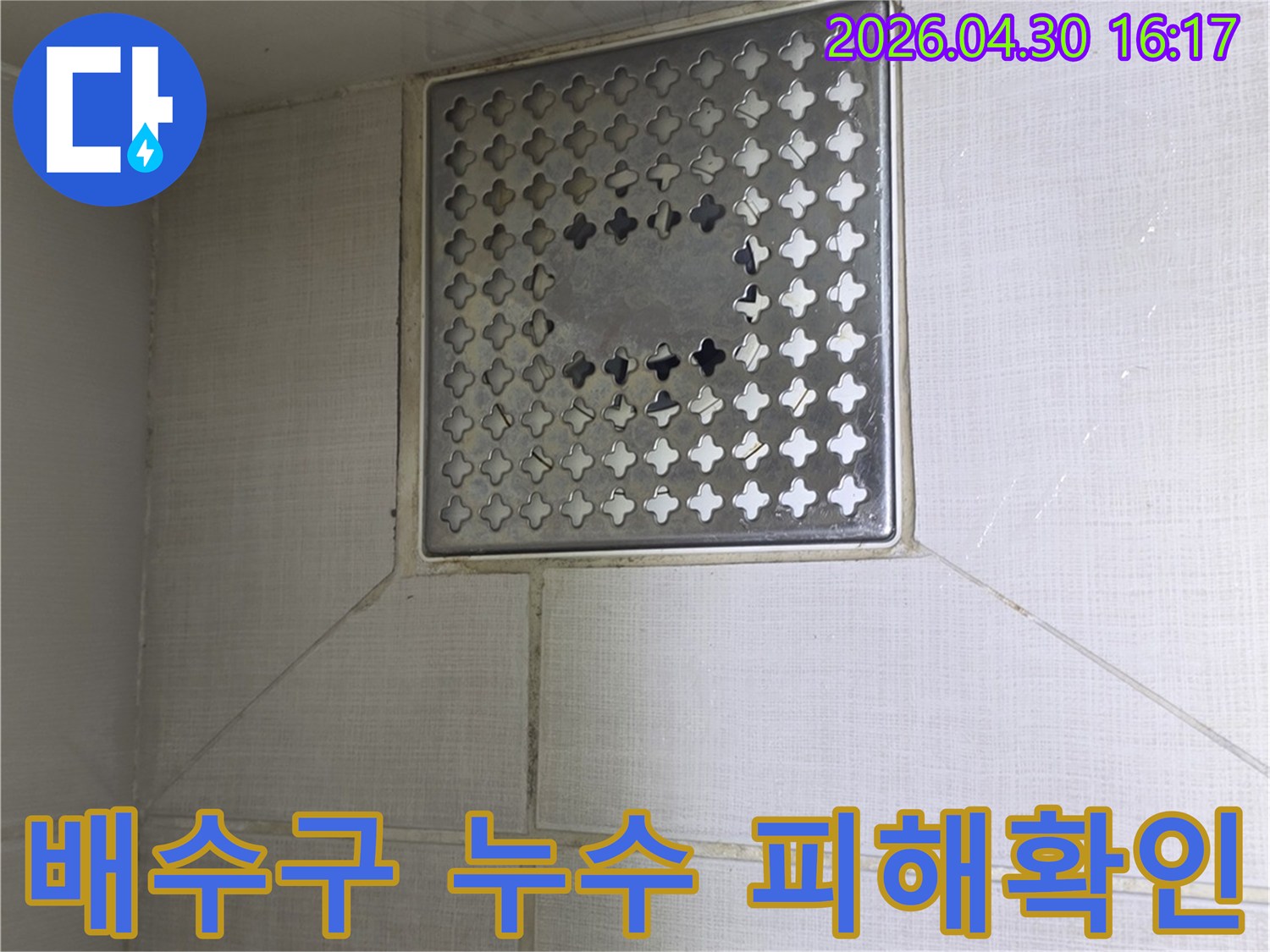 아파트 화장실 바닥의 배수구-누수로 인한 주변 타일 및 바닥의 피해 범위를 확인하는 모습