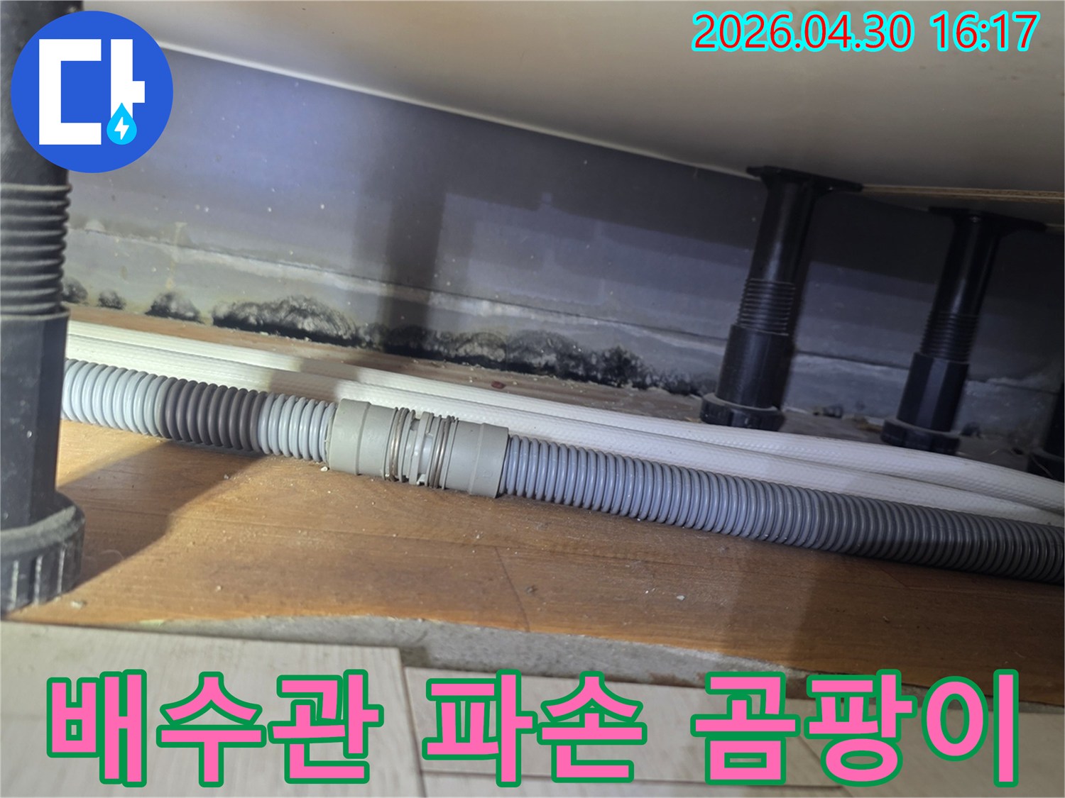 욕실 하부-파손된 배수관-연결 부위에서-발생한 누수로 인한-심각한 곰팡이