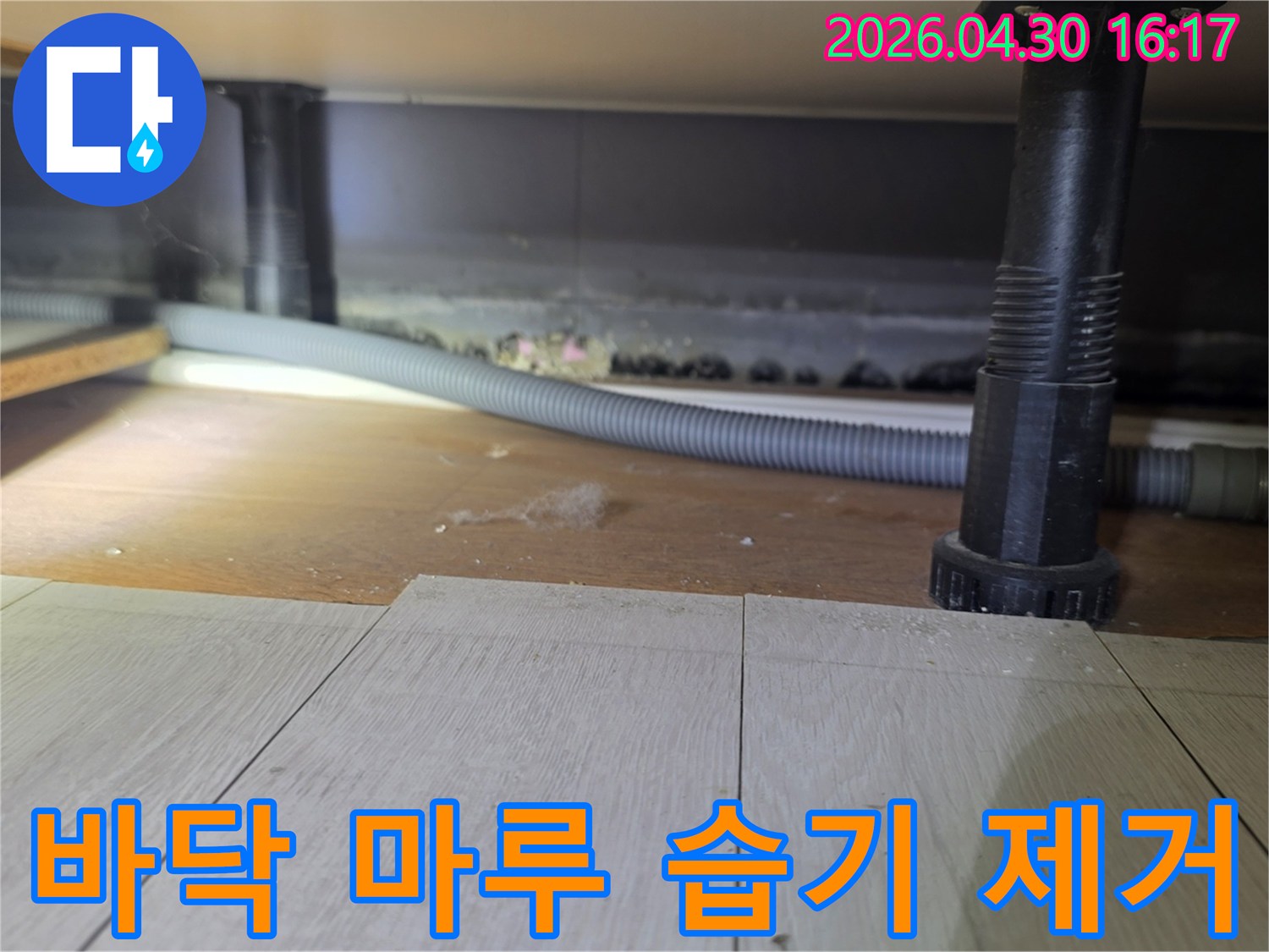 이 사진은 바닥 마루 아래의-습기를 제거하고-누수 문제를 해결하기 위한-공사 현장을 보여줍니다.