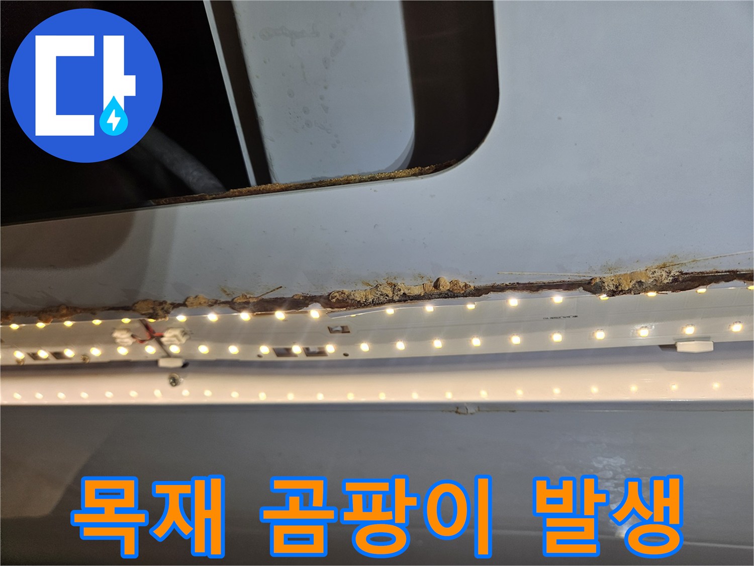 누수로 인한 습기로-목재에 곰팡이가-발생한 상태를-보여주는 이미지입니다