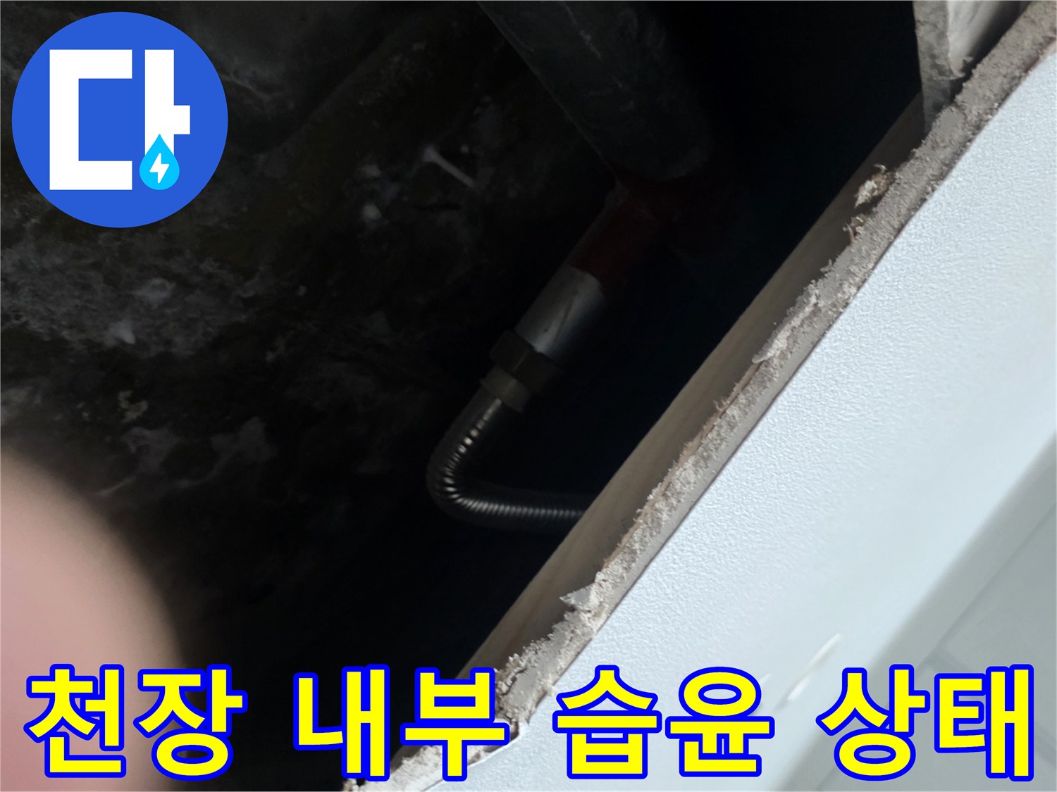 주방 점검구 안쪽의 젖은 콘크리트 면과 배관 연결 부위 상세