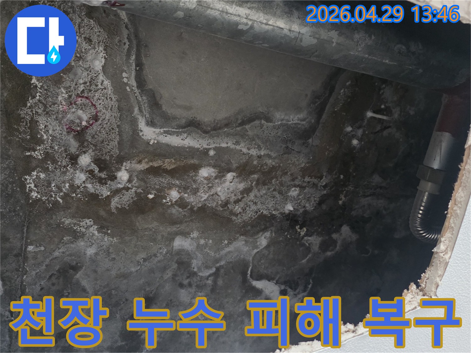 천장 콘크리트 표면에-누수로 인한 물자국과-얼룩이 광범위하게 퍼져있는 현장 사진입니다.