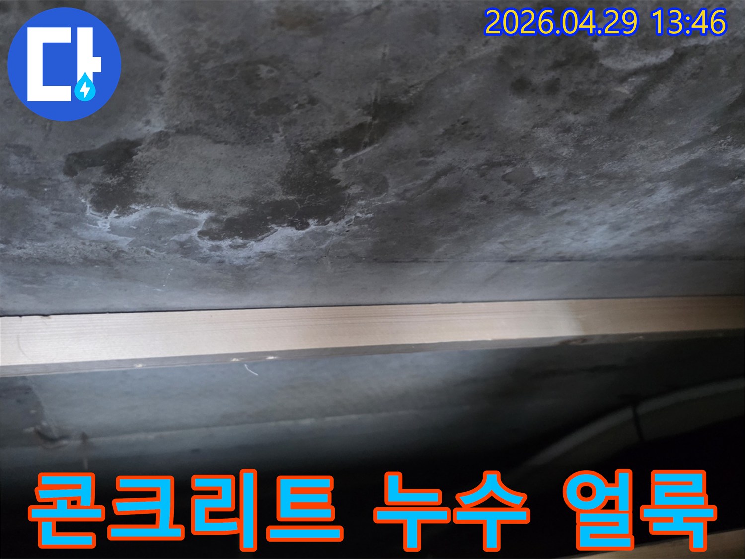 콘크리트 천장 표면에 물이 스며들어 생긴 어두운 얼룩과-하얀 백화 현상이 뚜렷하게 관찰됩니다.