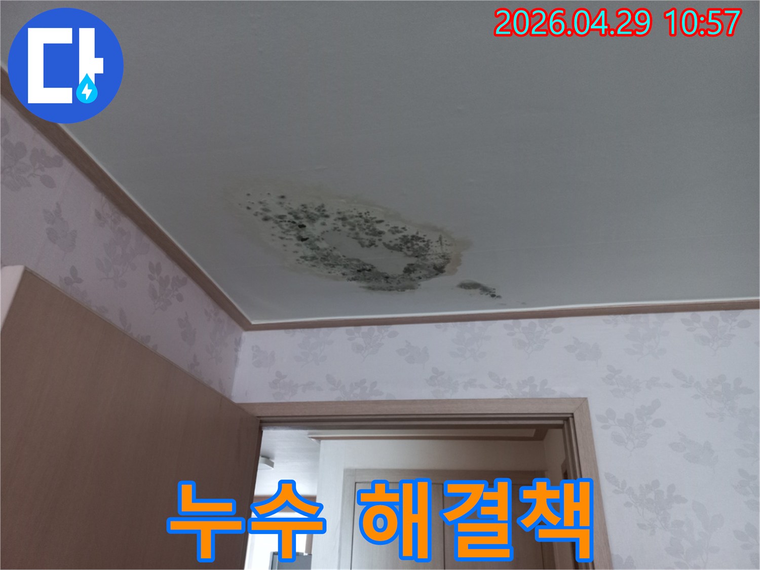 천장에-물이-새어-발생한-곰팡이와-얼룩이-선명한-모습입니다.
