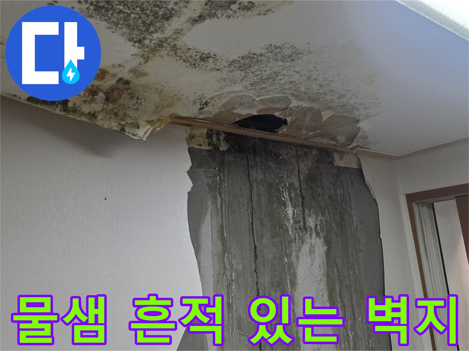 누수 피해가 진행 중인 천장 - 젖은 얼룩과 곰팡이