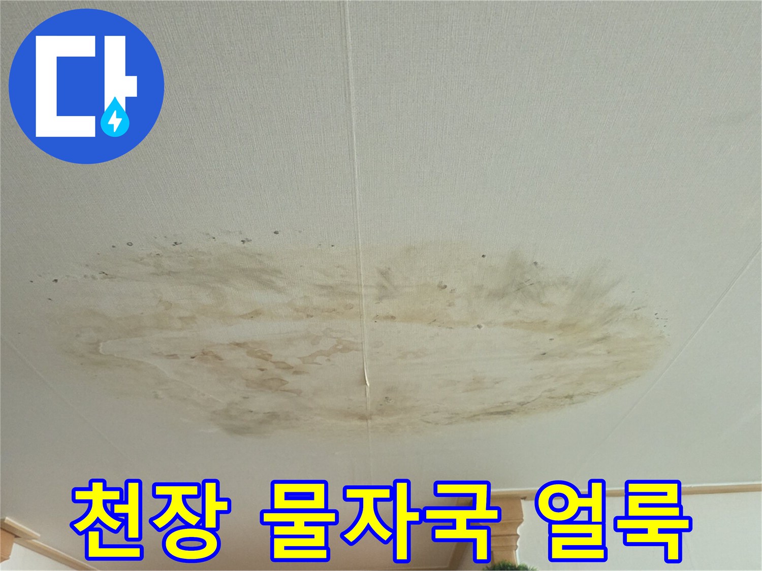 천장 마감재에 나타난 광범위한 수분 침투 흔적입니다.
