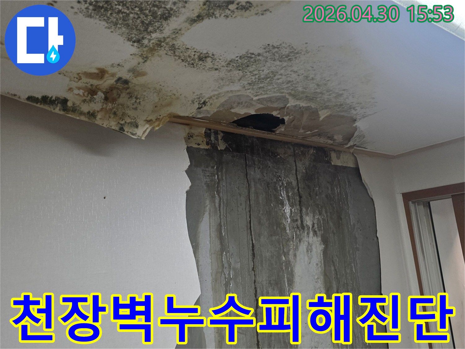 천장과 벽에 물이 새어 벽지가 훼손되고 곰팡이가 번식한 심각한 누수 피해 현장을 보여주는 사진입니다.