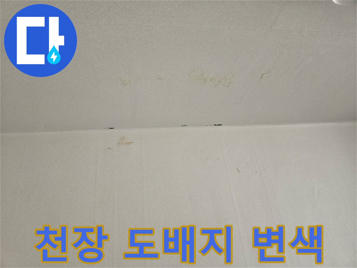 포천 일동면 현장-천장 도배지 변상 및 얼룩 상태