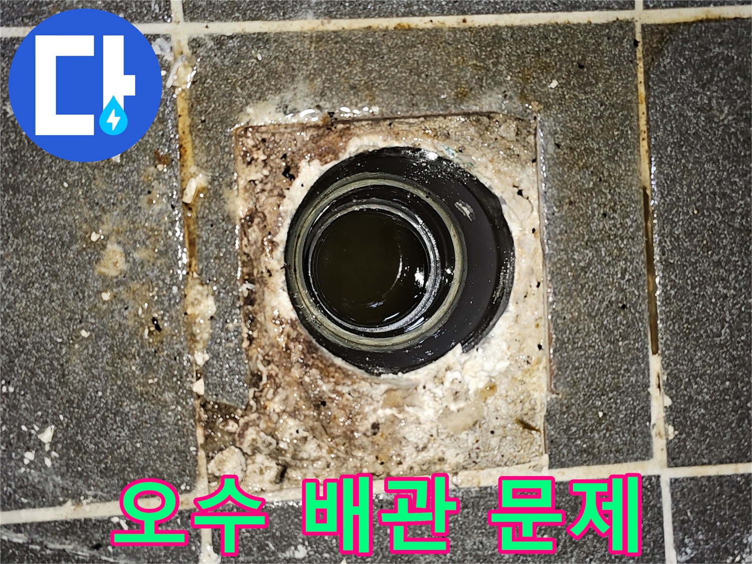 오수 배관에서 물이 역류하여-바닥에 고여있는-심각한 배관 문제를 보여주는 현장 사진입니다.