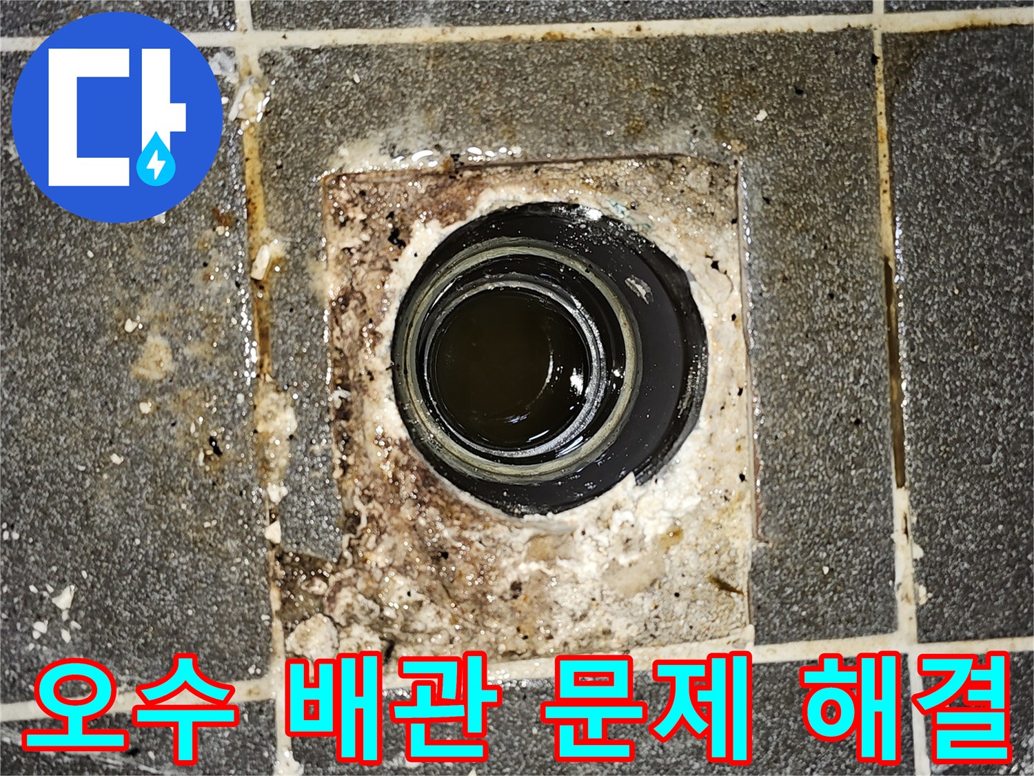 오수 배관에서 물이 역류하여-바닥에 고여있는-심각한 배관 문제를 보여주는 현장 사진입니다.