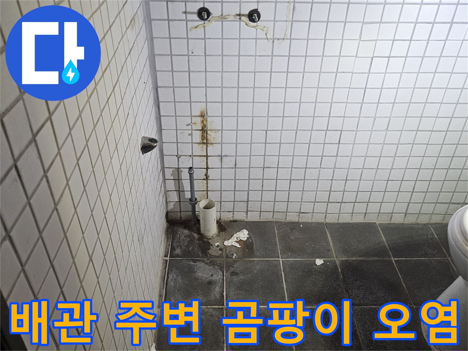 세면대 탈거 작업 후-욕실 벽면과 바닥에-드러난 배관 연결부와-주변의 곰팡이 및-오염 흔적을-정밀하게 검사하는-누수 전문가