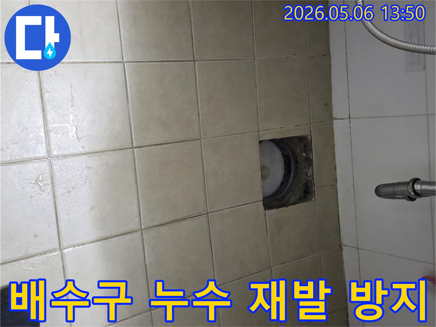 양주시 아파트 욕실-배수구 주변의-누수 재발을 막기 위한-전문 시공 현장