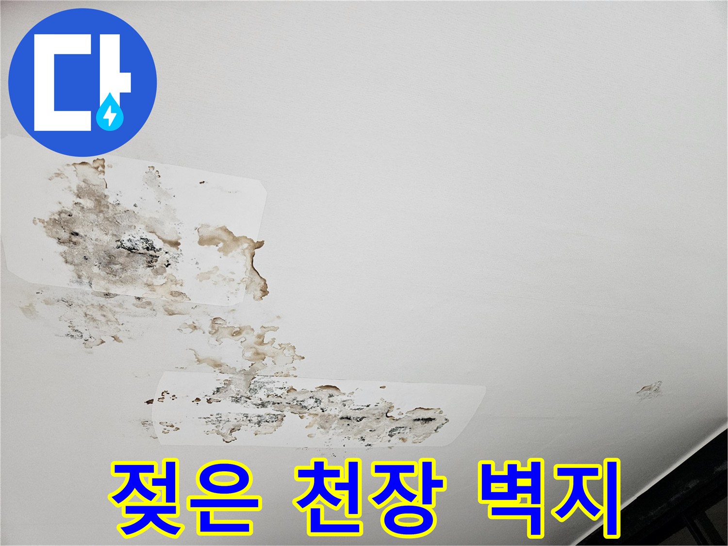 습기가-스며든-아랫집-천장-벽지_상태