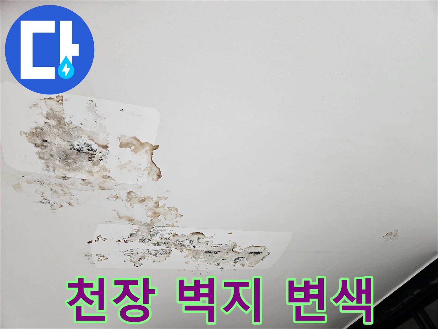 습기로 인해 곰팡이가 번진-아파트 천장 마감재 부위