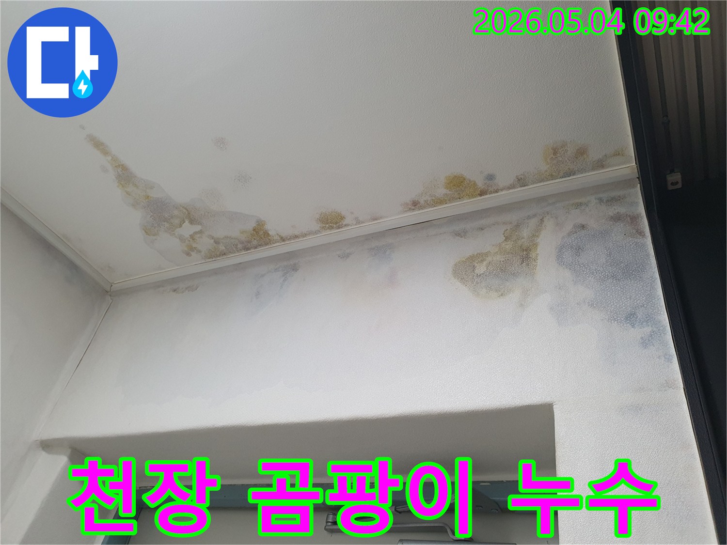 안양-예술공원로-아파트-천장에-누수로-인한-심한-곰팡이가-생겨-전문-업체의-진단이-필요한-모습