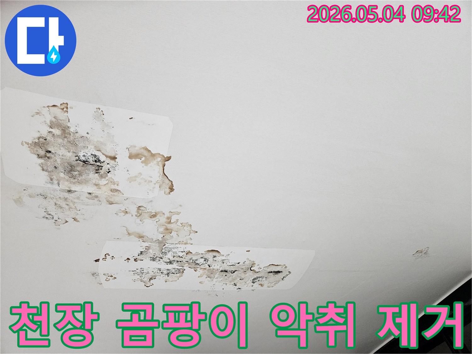 이 이미지는 아파트 천장에 발생한 심각한 곰팡이와-누수-흔적을-보여주며-악취가-동반될-수-있는-상태입니다.