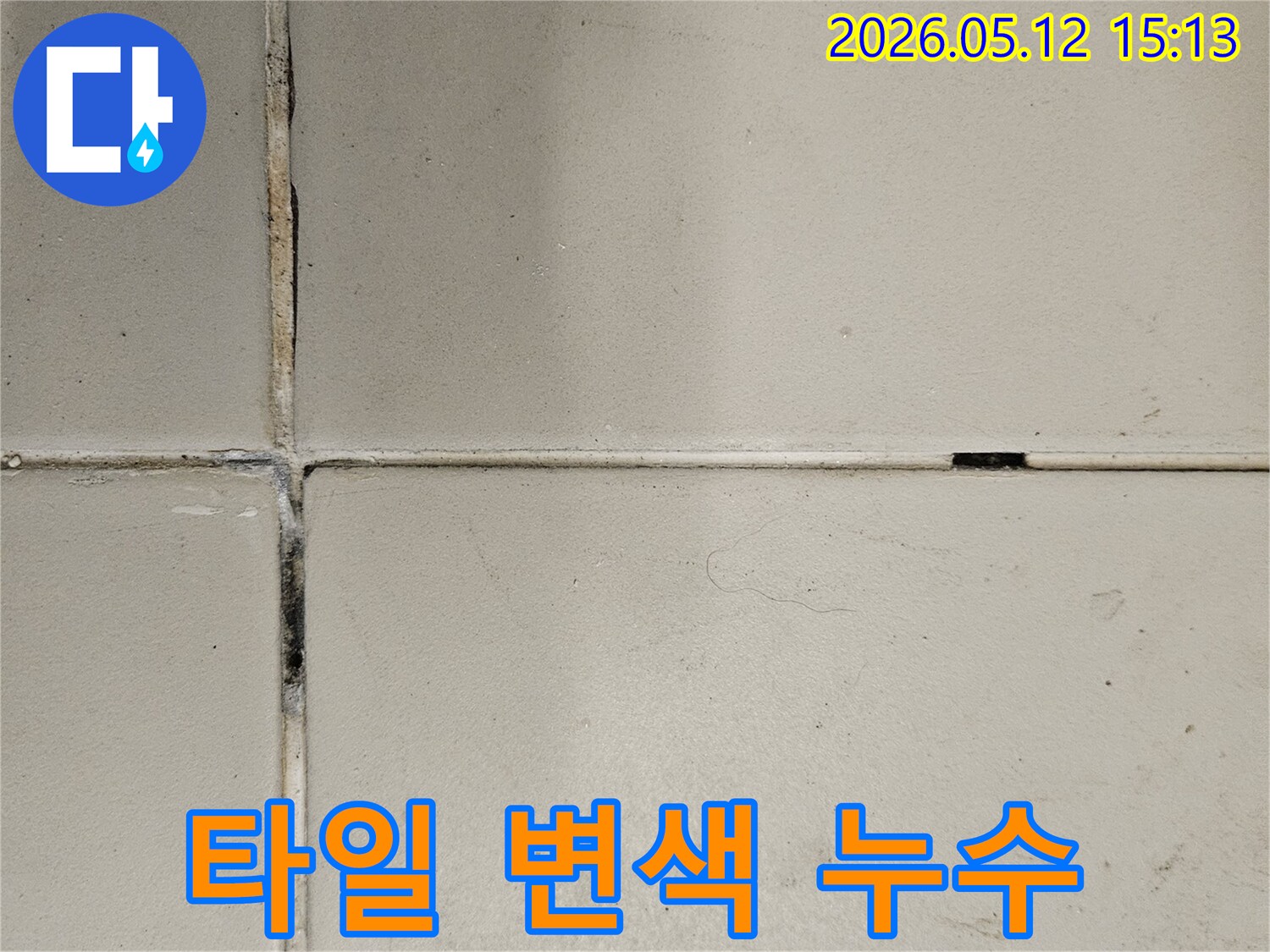 누수-전문가가-현장에서-발견한-타일-줄눈의-심각한-오염-상태를-기록한-이미지입니다