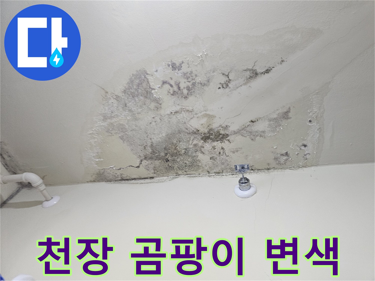 물샘으로 인해 발생한 천장 부위의 곰팡이와 얼룩