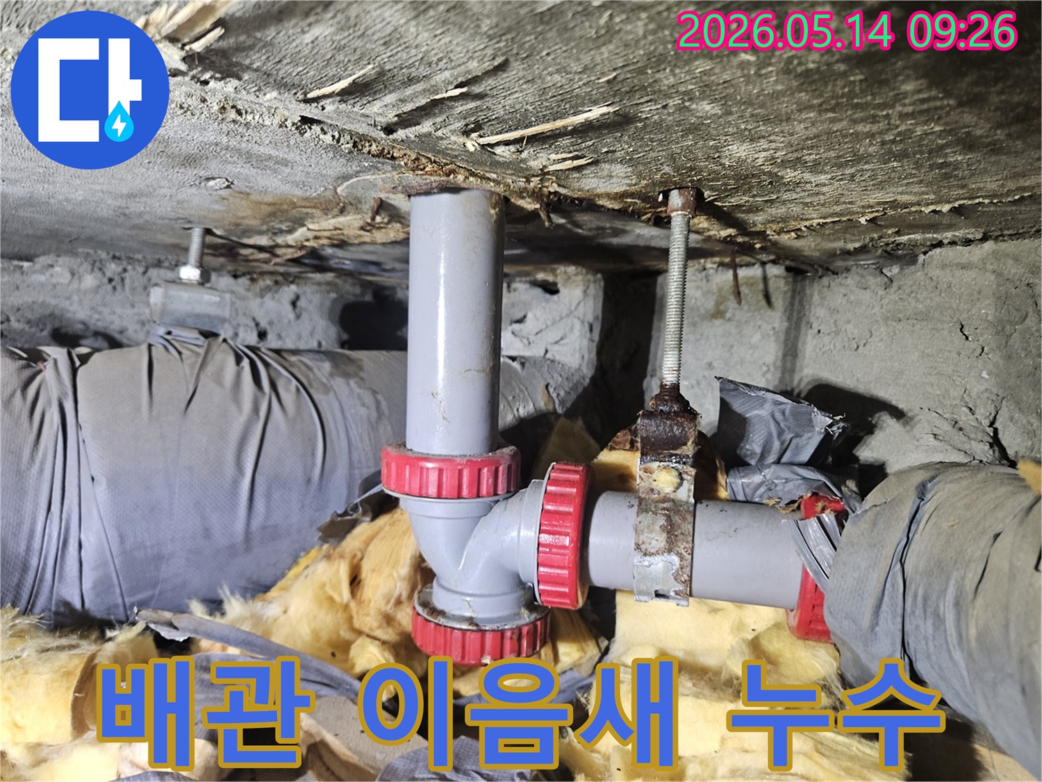 김포 삼용아파트 인근에서 배관 이음새의 누수를-정확하게 위치 파악하는-전문가의 작업 현장입니다
